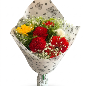 Vibrant Butterfly Meadow Mixed Carnation Bouquet